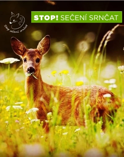 Stop sečení srnčat, z.s.